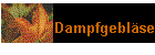 Dampfgebläse