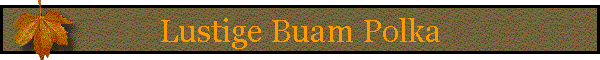 Lustige Buam Polka