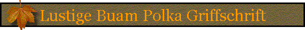 Lustige Buam Polka Griffschrift